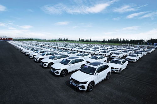 國(guó)內(nèi)汽車代理新觀察 上海熱線模式與隨州地區(qū)汽車代理發(fā)展的啟示